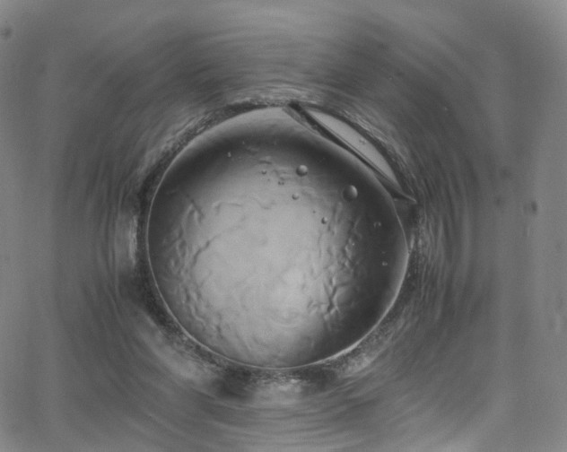 X0000063470206200601201319