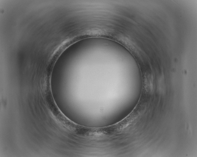 X0000063470208200601201319