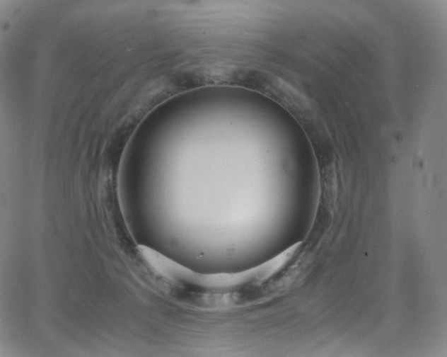 X0000063470225200601201319