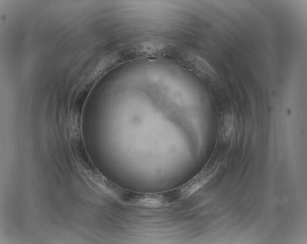 X0000063470236200601201319