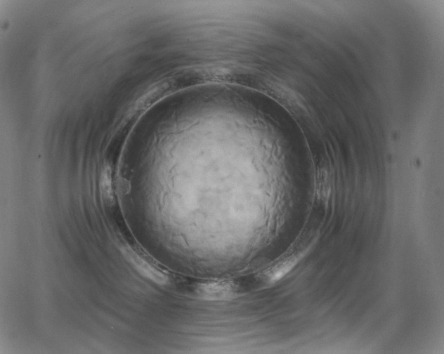 X0000063470238200601201319