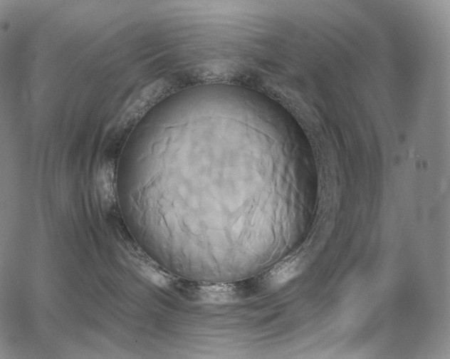 X0000063470240200601201319