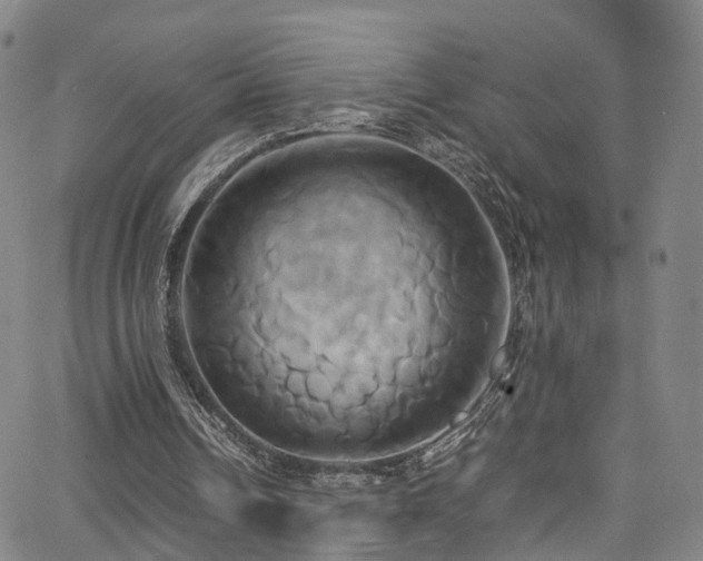 X0000063470242200601201318