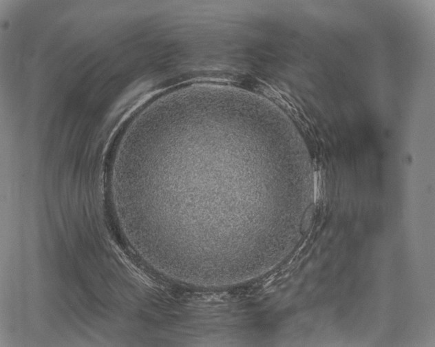 X0000063470243200601201318