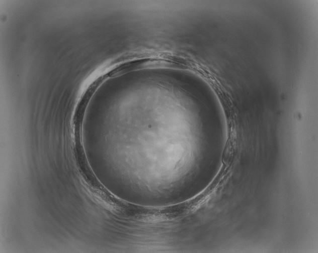 X0000063470246200601201318