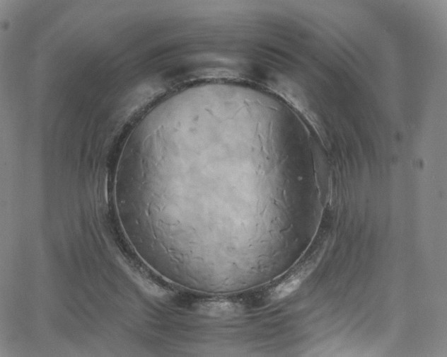 X0000063470253200601201318