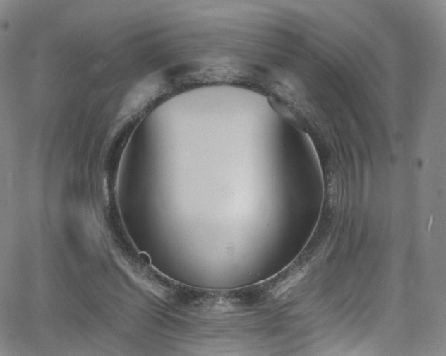 X0000063470254200601201318