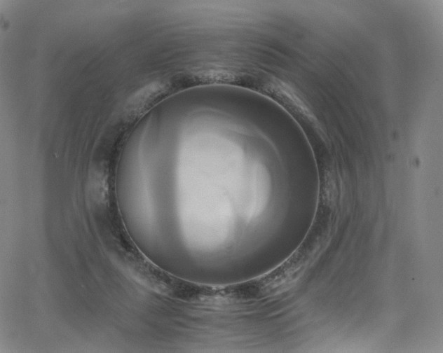 X0000063470259200601201318
