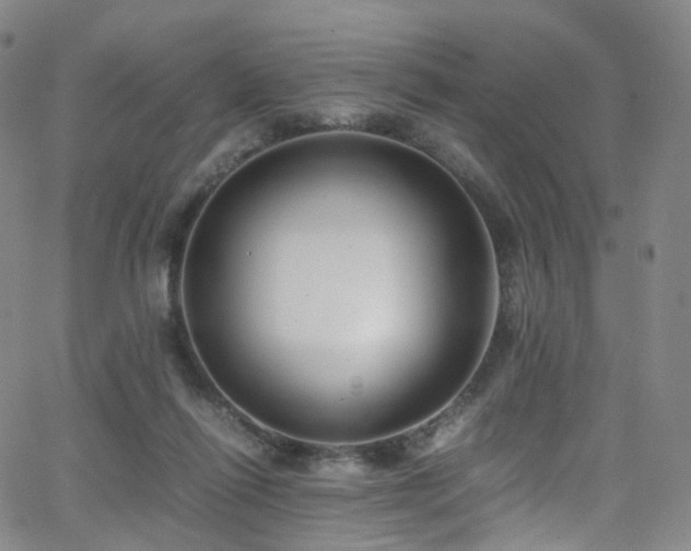 X0000063470262200601201318
