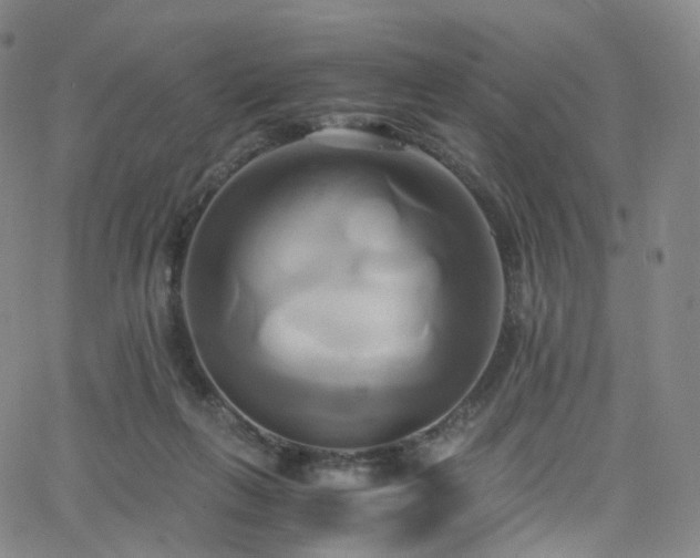 X0000063470263200601201318