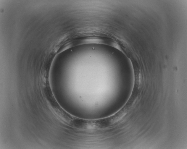 X0000063470264200601201318