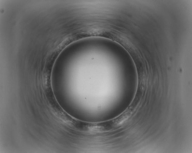 X0000063470268200601201318