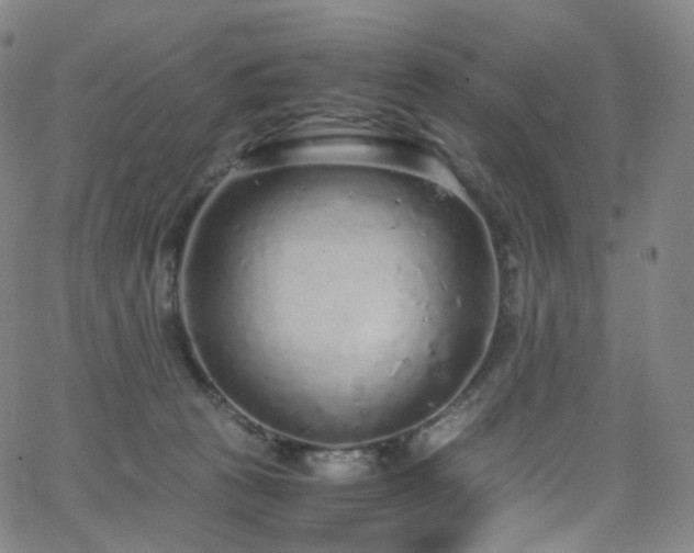 X0000063470273200601201318