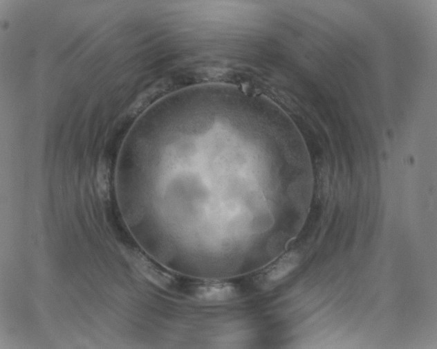 X0000063470274200601201318