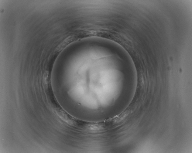 X0000063470275200601201318