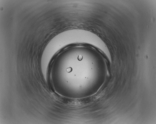 X0000063470276200601201318