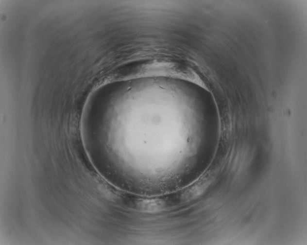 X0000063470277200601201319