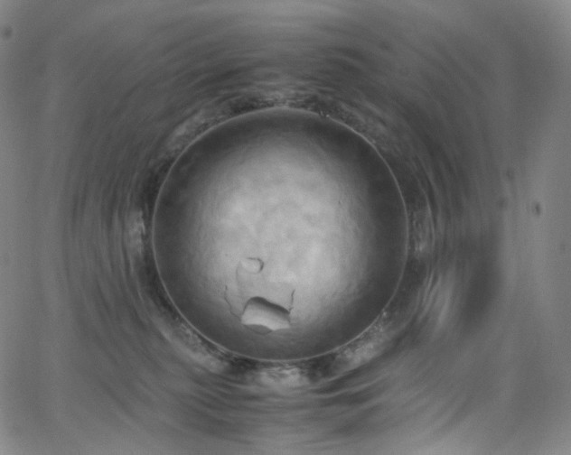 X0000063470279200601201319