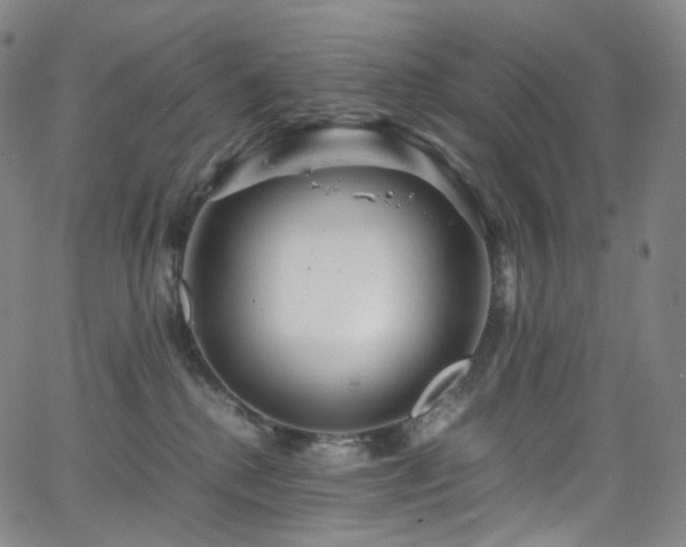 X0000063470280200601201319