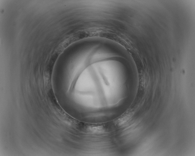 X0000063470283200601201319