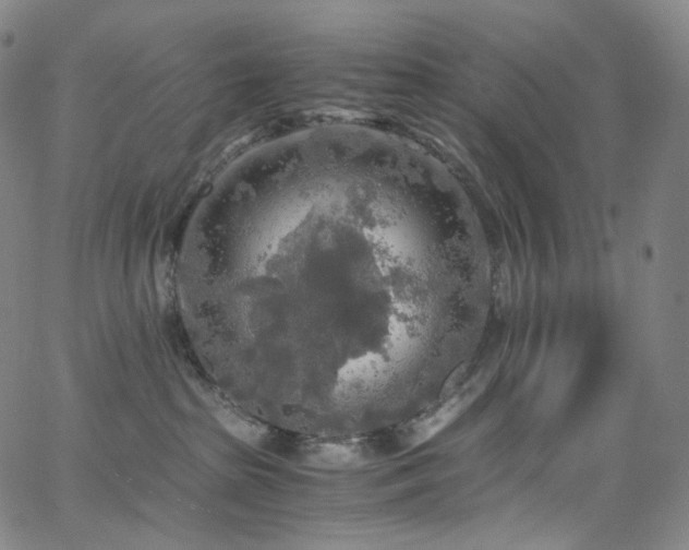 X0000063470285200601201319