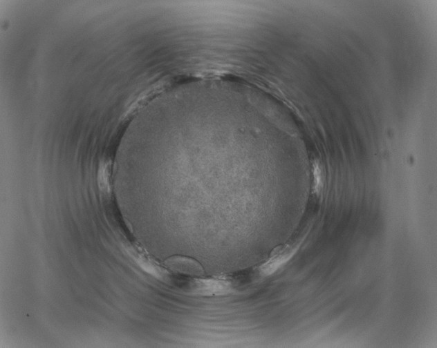 X0000063470286200601201319