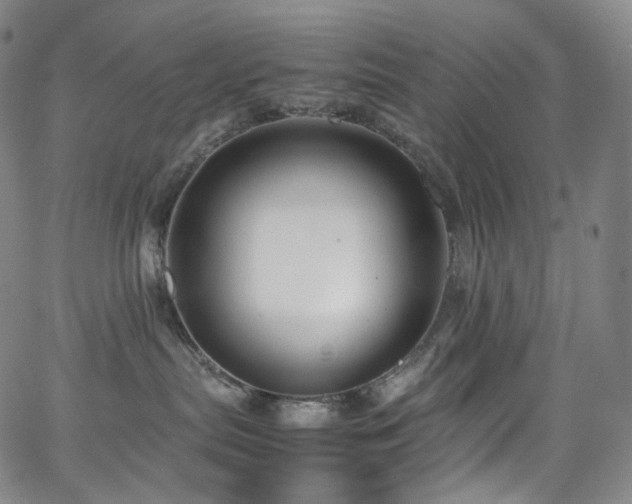 X0000063470287200601201319