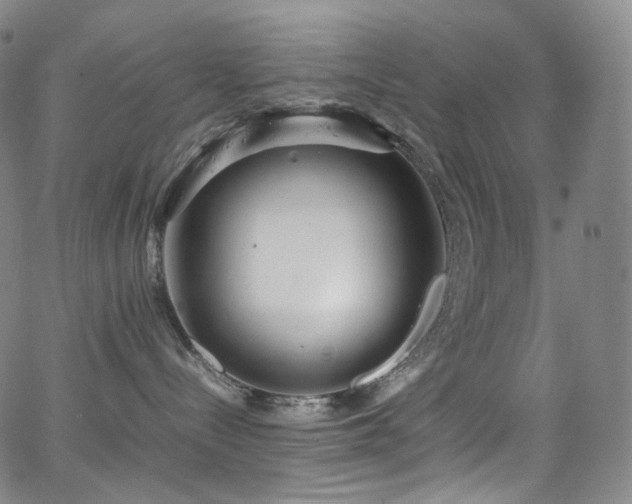 X0000063470288200601201319