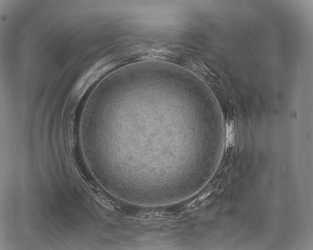 X0000063470291200601201318