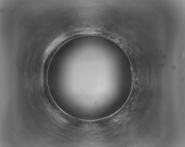 X0000063470296200601201318