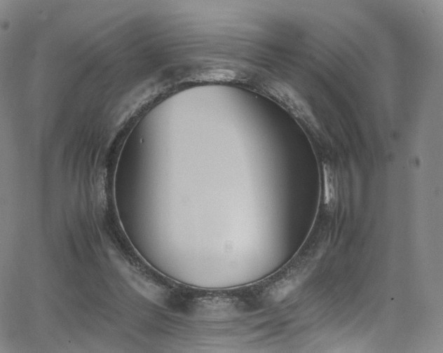 X0000063470300200601201318