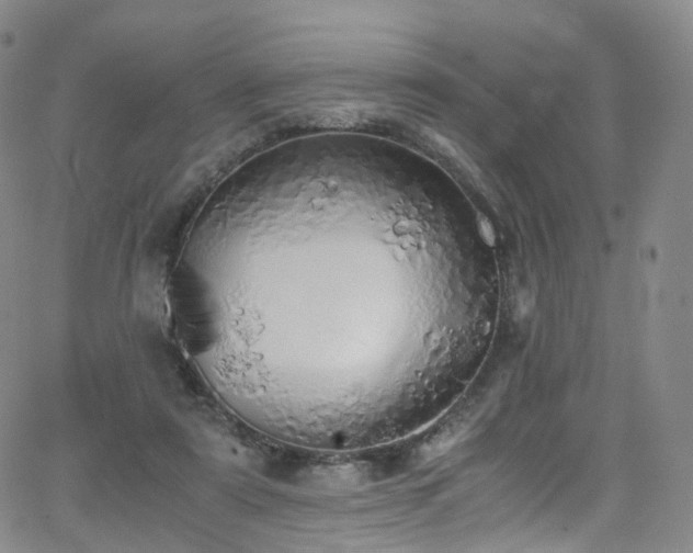 X0000063470307200601201318