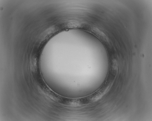 X0000063470308200601201318