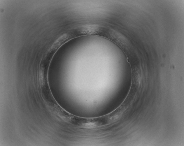 X0000063470312200601201318