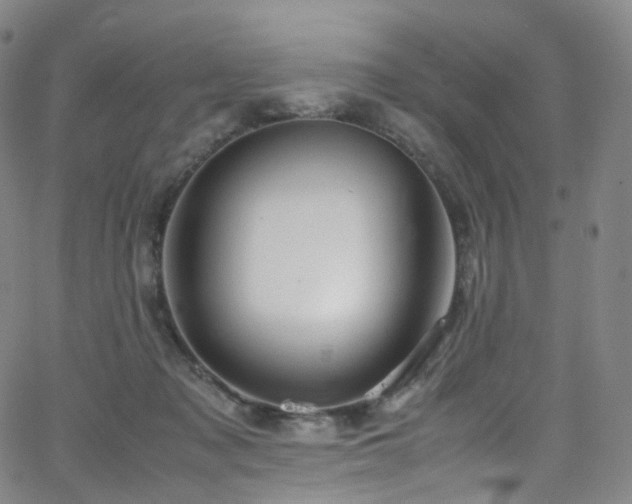X0000063470317200601201317