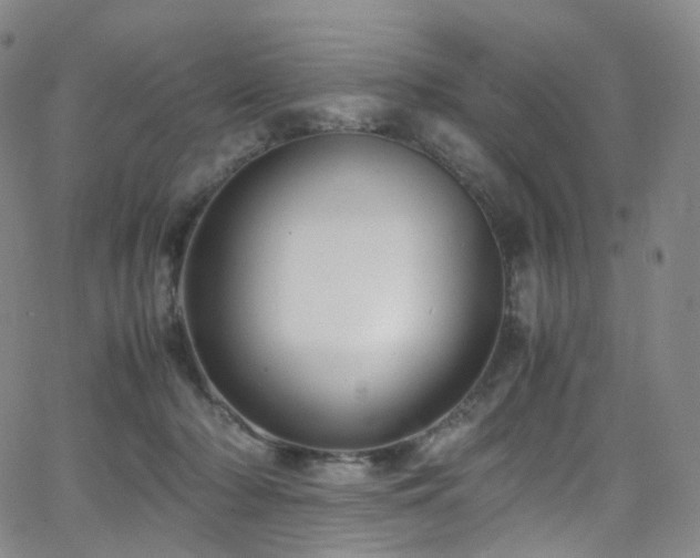 X0000063470318200601201317