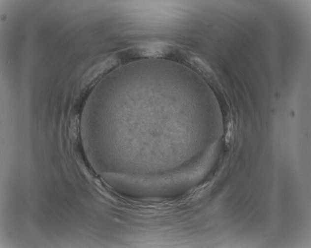 X0000063470325200601201317