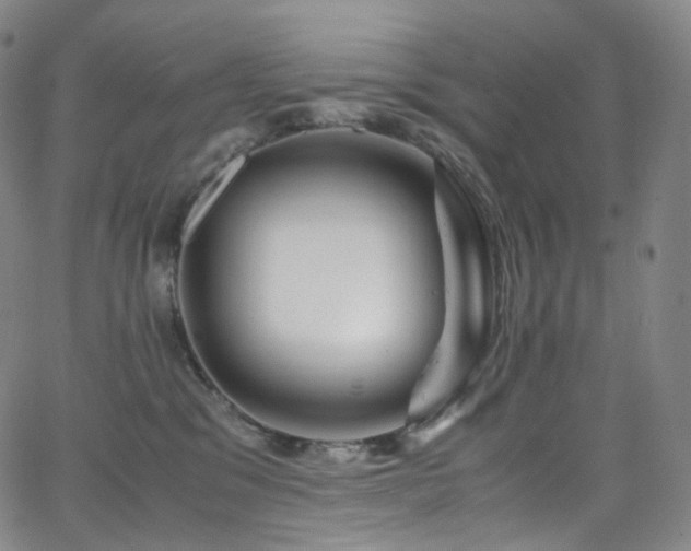X0000063470329200601201317