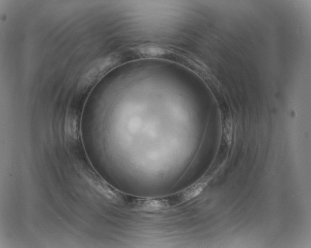 X0000063470330200601201317