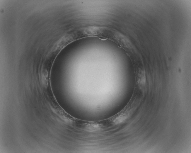 X0000063470332200601201317