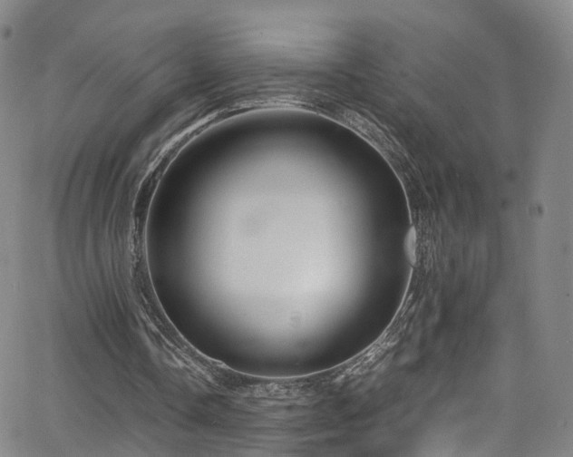 X0000063470338200601201316
