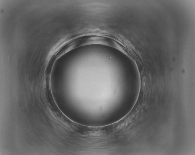 X0000063470344200601201316