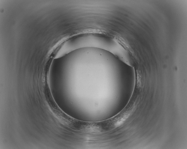 X0000063470348200601201317