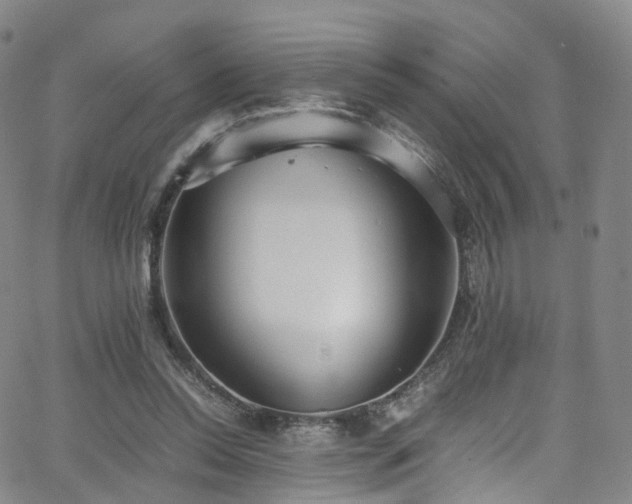 X0000063470350200601201317