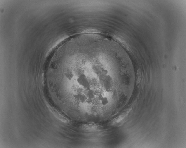 X0000063470351200601201317