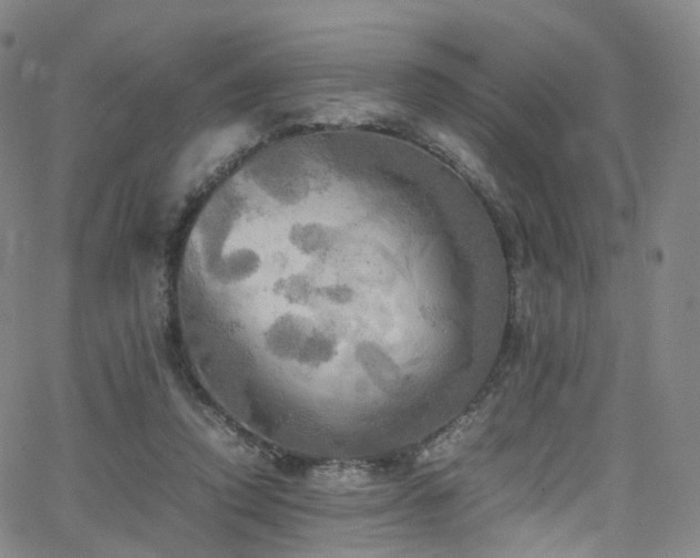 X0000063470354200601201317