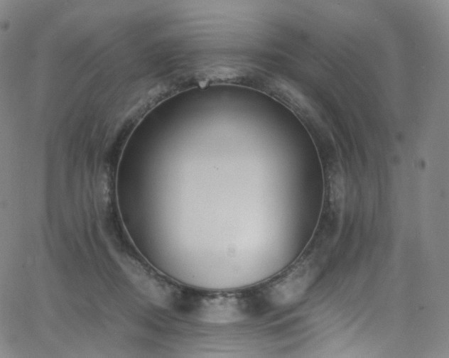 X0000063470362200601201317