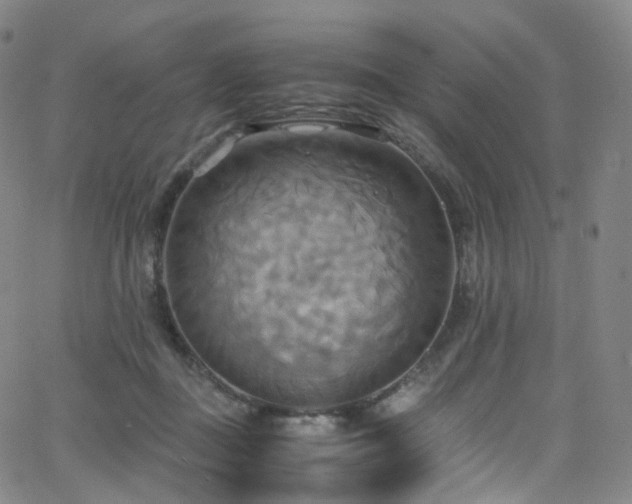 X0000063470363200601201317