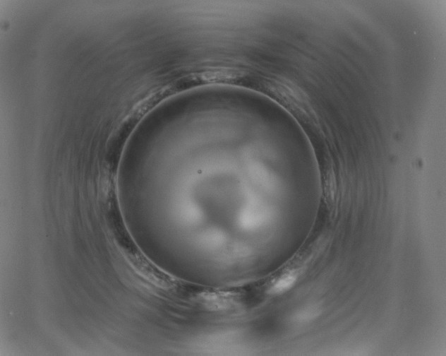 X0000063470367200601201317