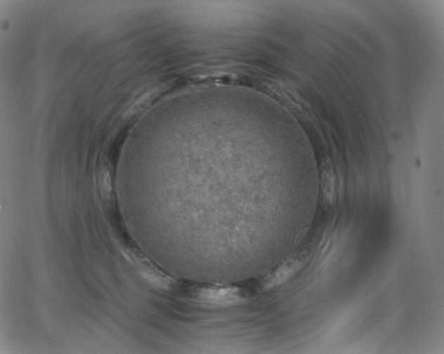 X0000063470375200601201317